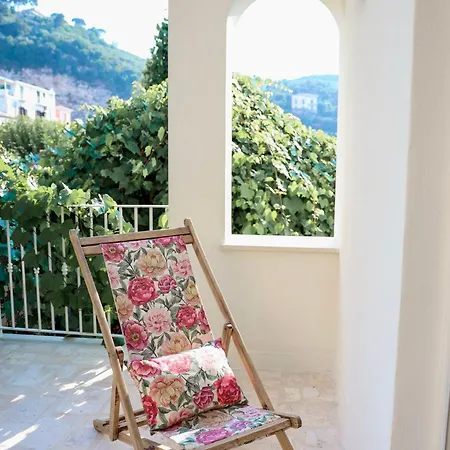 Domus Florum 招待所