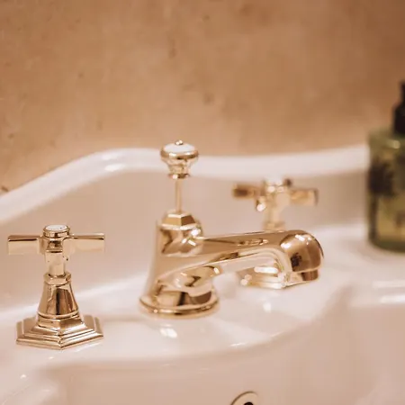 招待所 Domus Florum 4*