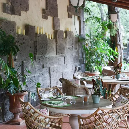 Гостевой дом Domus Florum