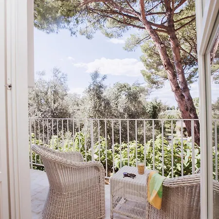 Penzion Domus Florum