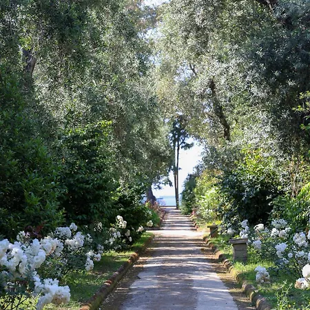 Domus Florum Гостевой дом