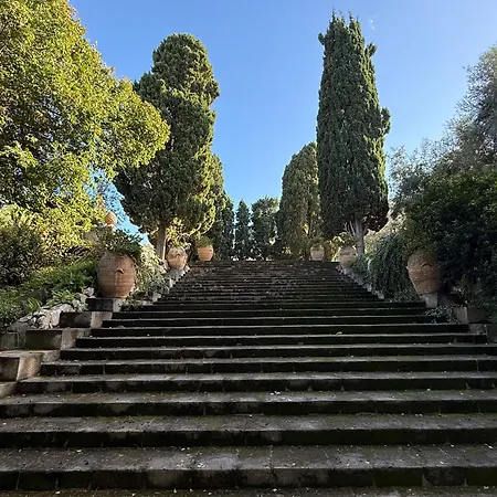 Domus Florum Sorrento