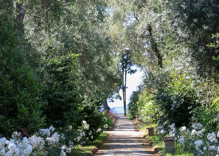 Domus Florum Penzion
